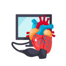 اکوکاردیوگرافی قلب echocardiography